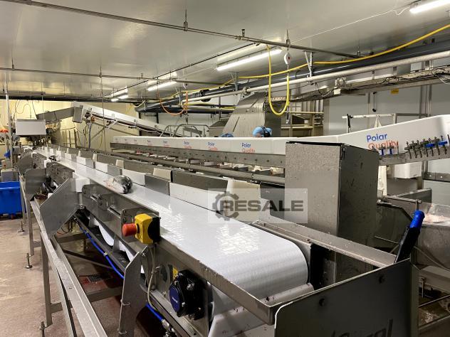 Maschine: MAREL Dual lane grader for 12 Fish processing machines